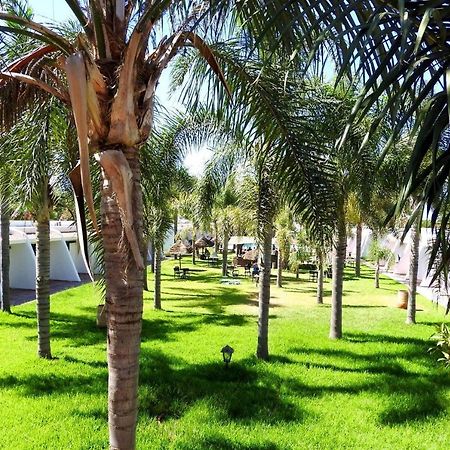 Assam Hotel Kenitra Eksteriør bilde